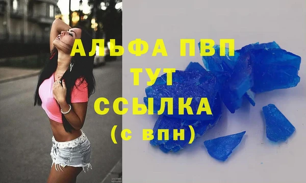 крисы Абаза