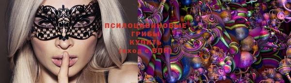spice Алзамай