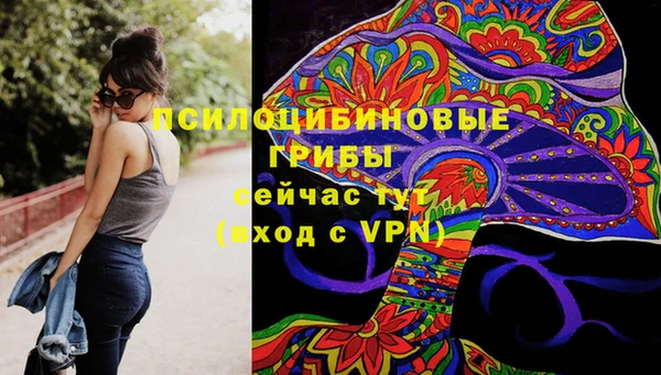 spice Алзамай