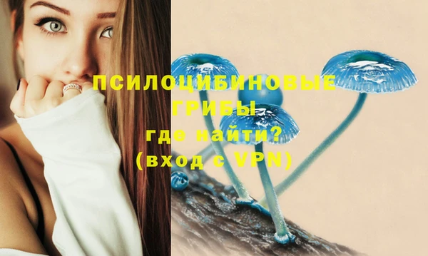 бошки Абдулино