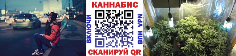 купить наркотики цена  Тогучин  Бошки Шишки тримм 